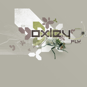 Fly by Oxley