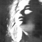 Who Is She x The Perfect Girl