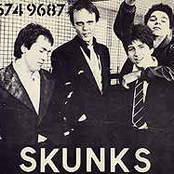 Skunks