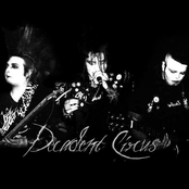 decadent circus