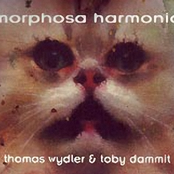 Morphosa Armonia
