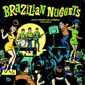Brazilian Nuggets: Back From The Jungle (Vol. 3)