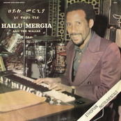 hailu mergia and the walias