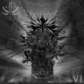 VI