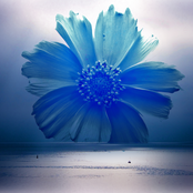 Beyond The Whitecaps