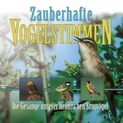 Zauberhafte Vogelstimmen