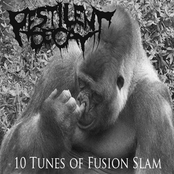 10 Tunes of Fusion Slam