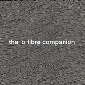 The Lo Fibre Companion