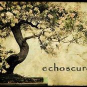 echoscuro