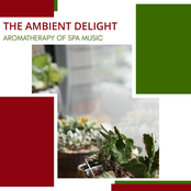 The Ambient Delight: Aromatherapy Of Spa Music