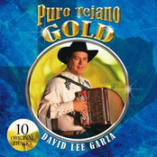 David Lee Garza: Puro Tejano Gold