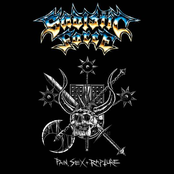 Sadistic Force: Pain, Sex, and Rapture