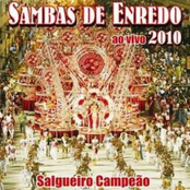 Sambas de Enredo 2010