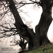 Birdsong by Handbook