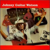 Boogie Down Party Down by Johnny 'guitar' Watson