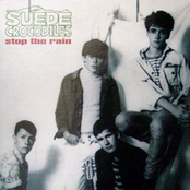 the suede crocodiles