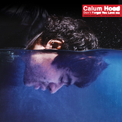 Don't Forget You Love Me - Single