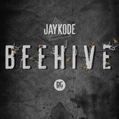 Jaykode: Beehive