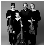 New York Consort Of Viols