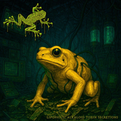 Lipophilic Alkaloid Toxin Secretions