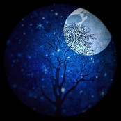 Skeleton Moon