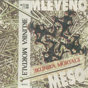 Mleveno meso