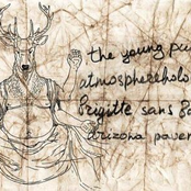 VA - The Young Putin & atmosphereholocaust & Brigitte sans Bardot & Arizona Pavements  - 4 Way Split CD