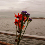 Mañana será otro día