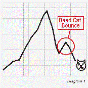Dead Cat Bounce