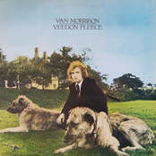 Comfort You by Van Morrison