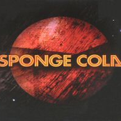 spong cola lp