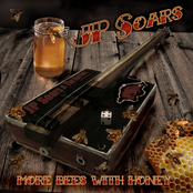 JP Soars: More Bees With Honey