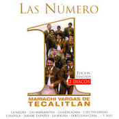 Mariachi Vargas: Las Numero 1 del Mariachi Vargas de Tecalitlan