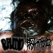 Puruloid / Erythrophagia Split