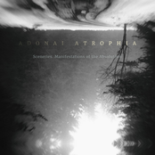 Sceneries. Manifestations of the Absolutism