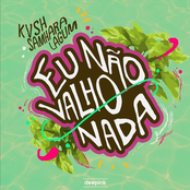 Eu Năo Valho Nada - Single