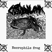 Necrophile frog
