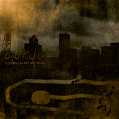 They Make Great Ant Hills