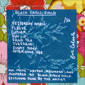Black Eagle Child