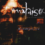 Assimilate by Malaise