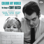 Tony Hatch & The Satin Brass