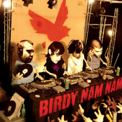 Birdy Nam Nam Album Picture