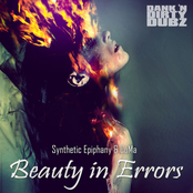 Beauty In Errors Album Picture