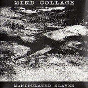 manipulated slaves