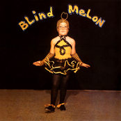 Tones Of Home by Blind Melon