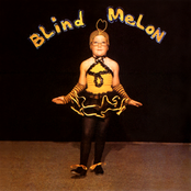 Paper Scratcher by Blind Melon