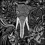 Adrift by And The Elephants