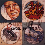 Complicator by School Of Fish