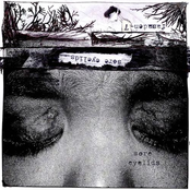 Sore Eyelids (2009)