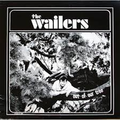 Hang Up by The Wailers